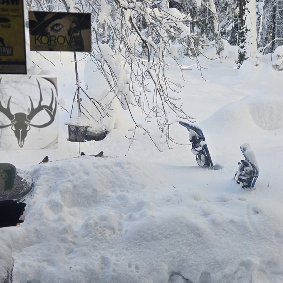 POSH PAUSED DUE TO HOSPITALIZATION & 8 DAY POWER OUTAGE PLEASE READ - Picture 3 of 3